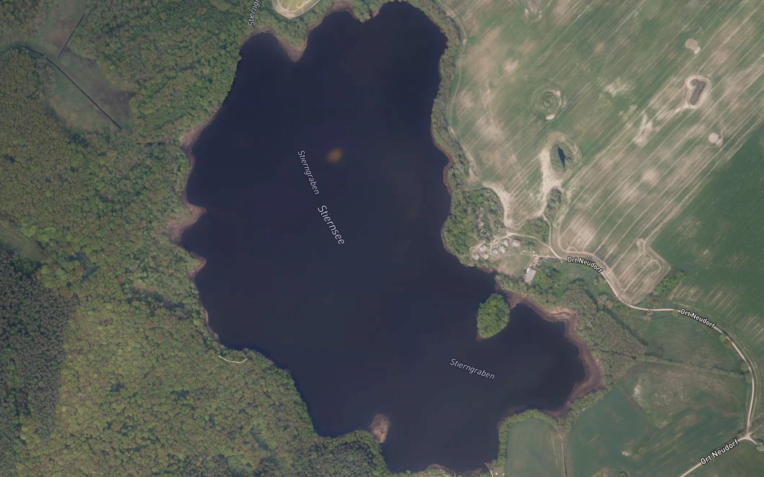 Stiernsee