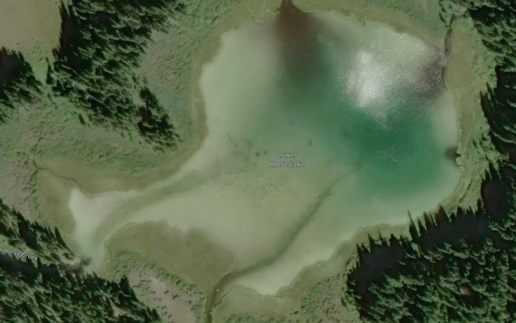 Satellite map of the Lower Horse Lake