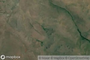 Quaking Aspen Spring