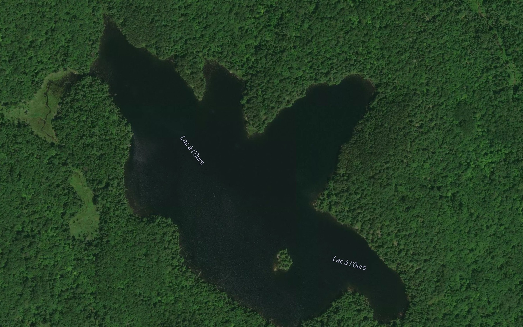 Satellite map of the Lac a l'Ours