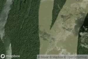 Parana Aruana