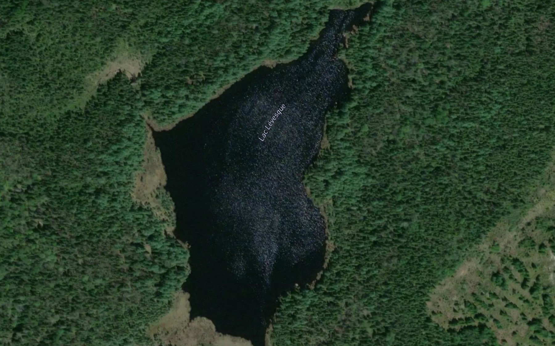 Satellite map of the Lac Levesque