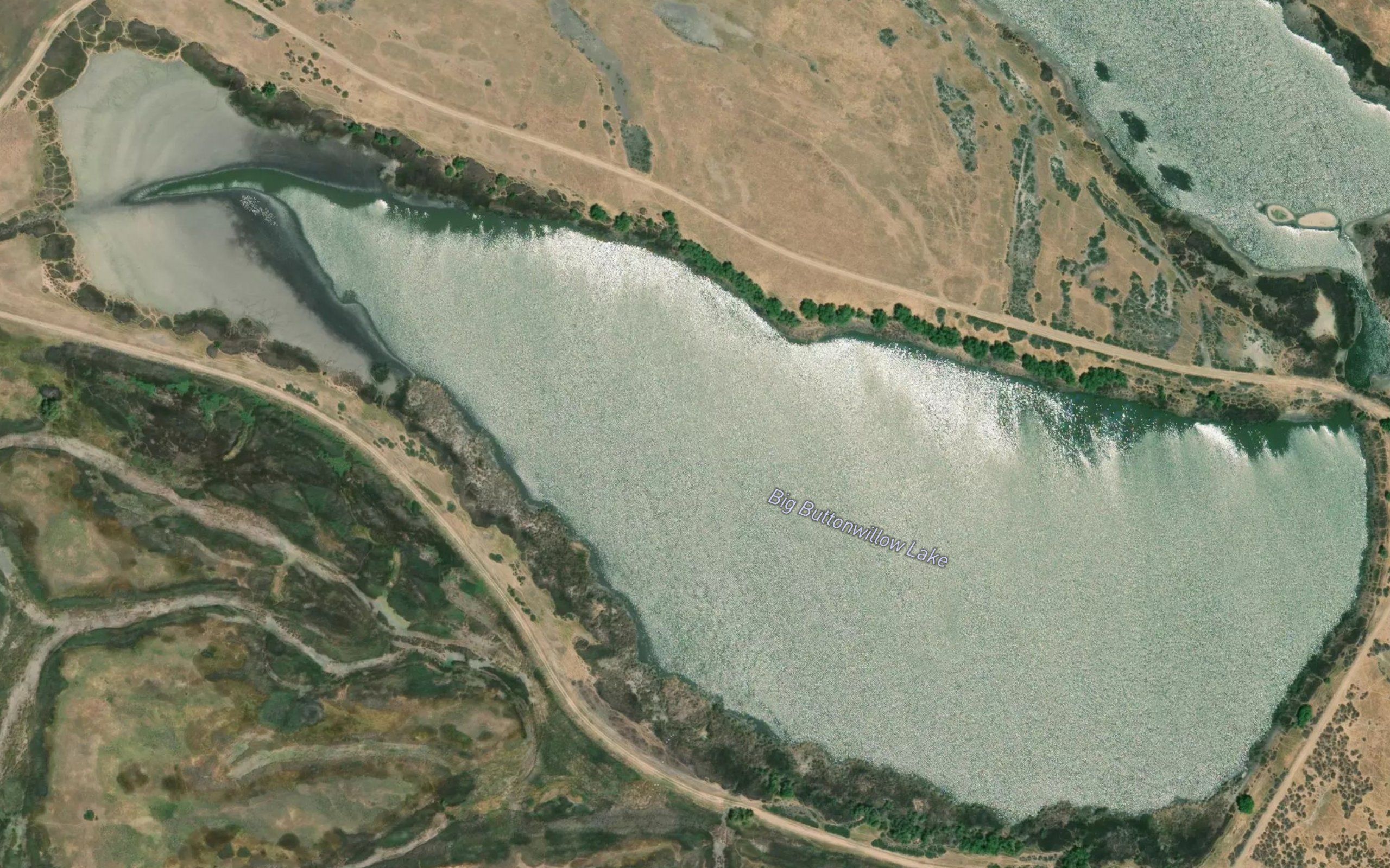 Big Buttonwillow Lake