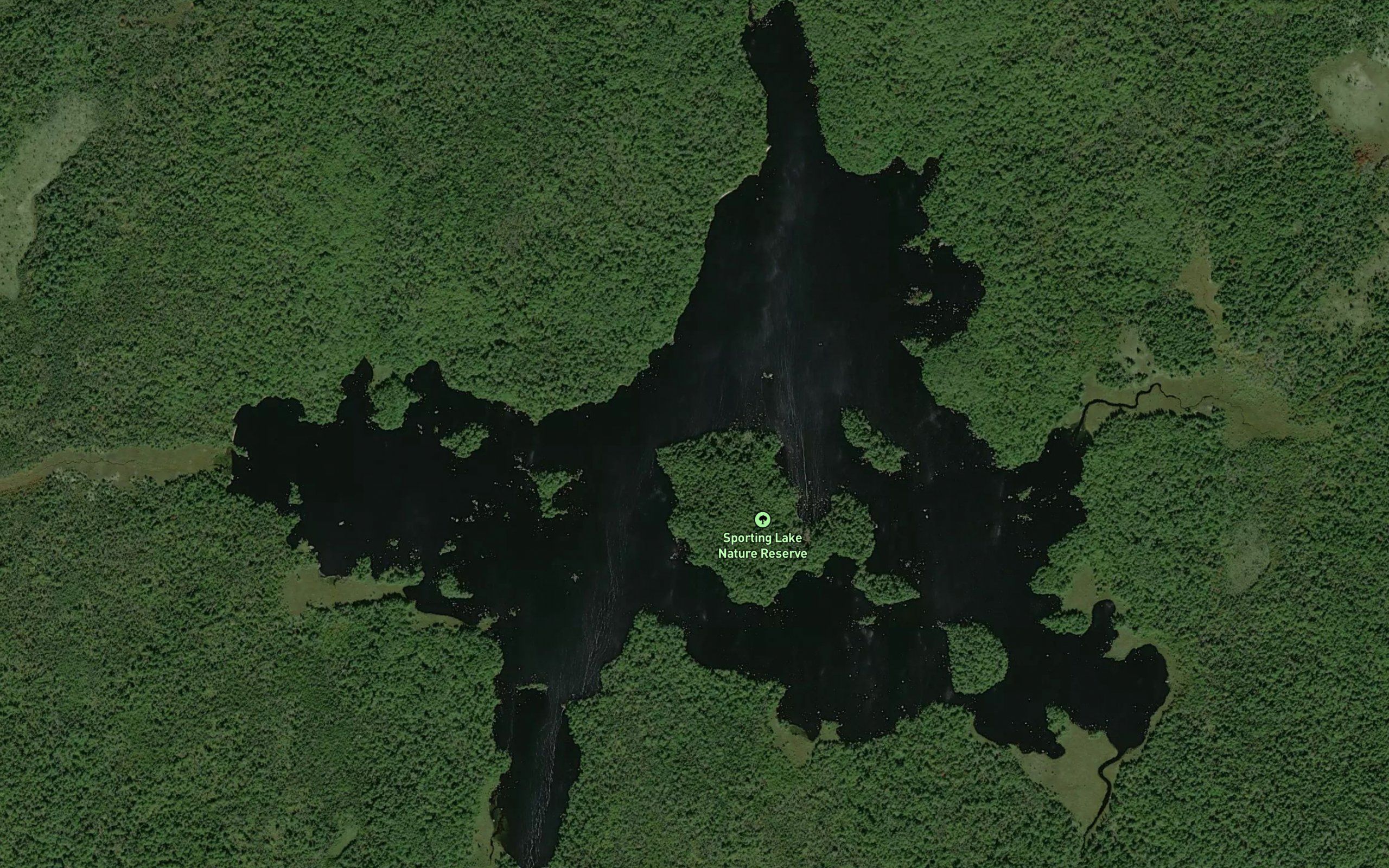 Sporting Lake