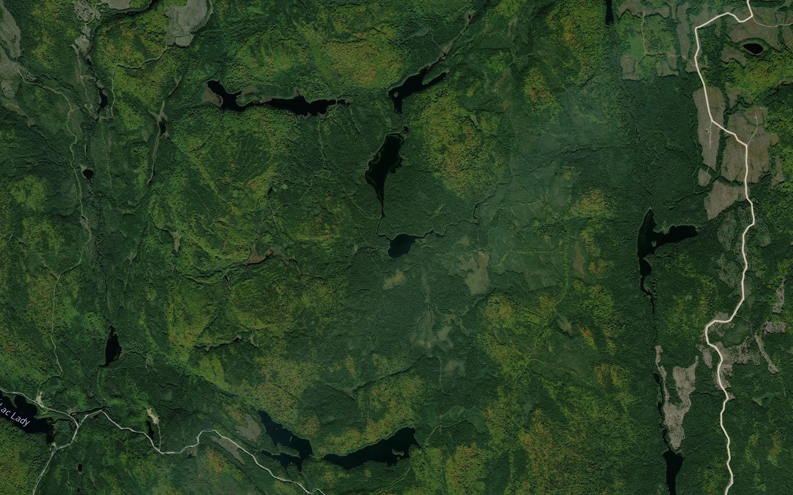 Lac Scar