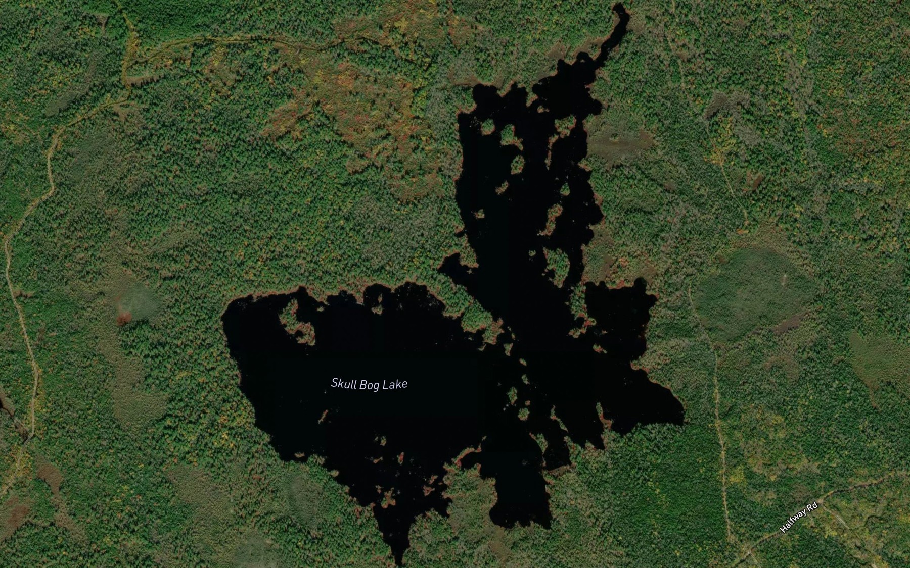 Satellite map of the Skull Bog Lake