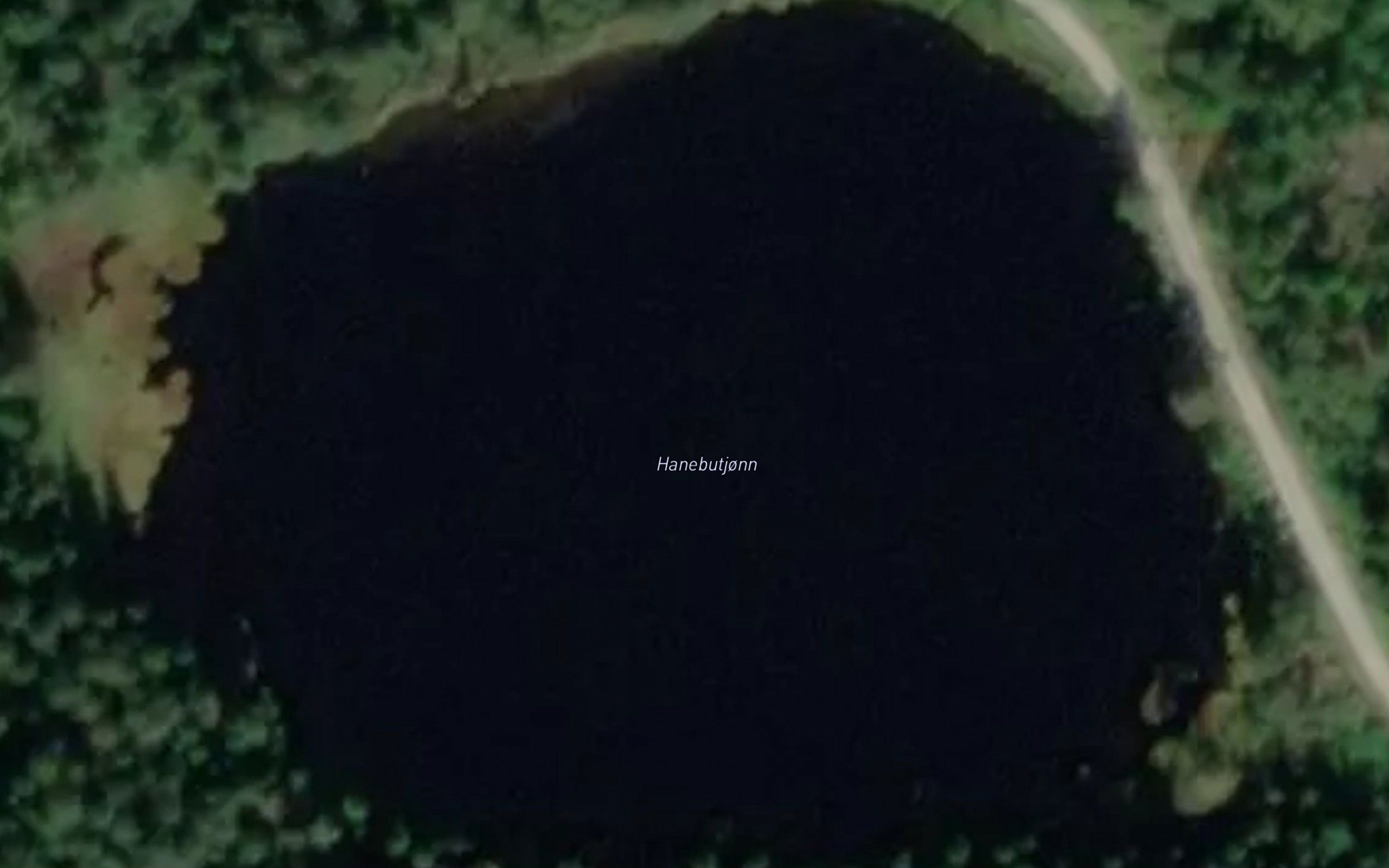 Hanebutjonn