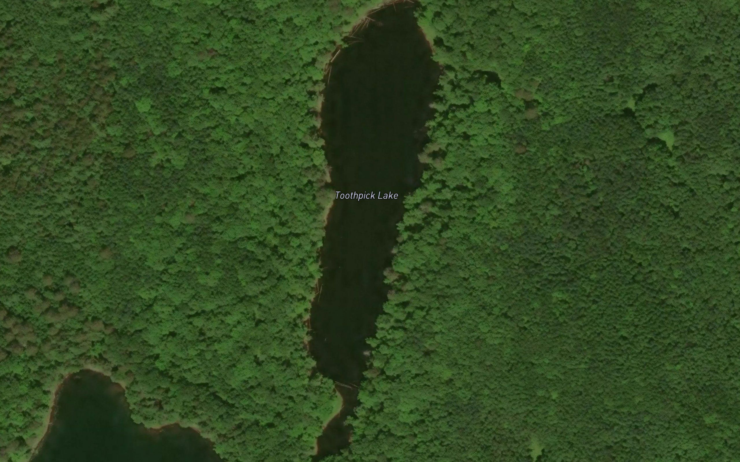 Toothpick Lake