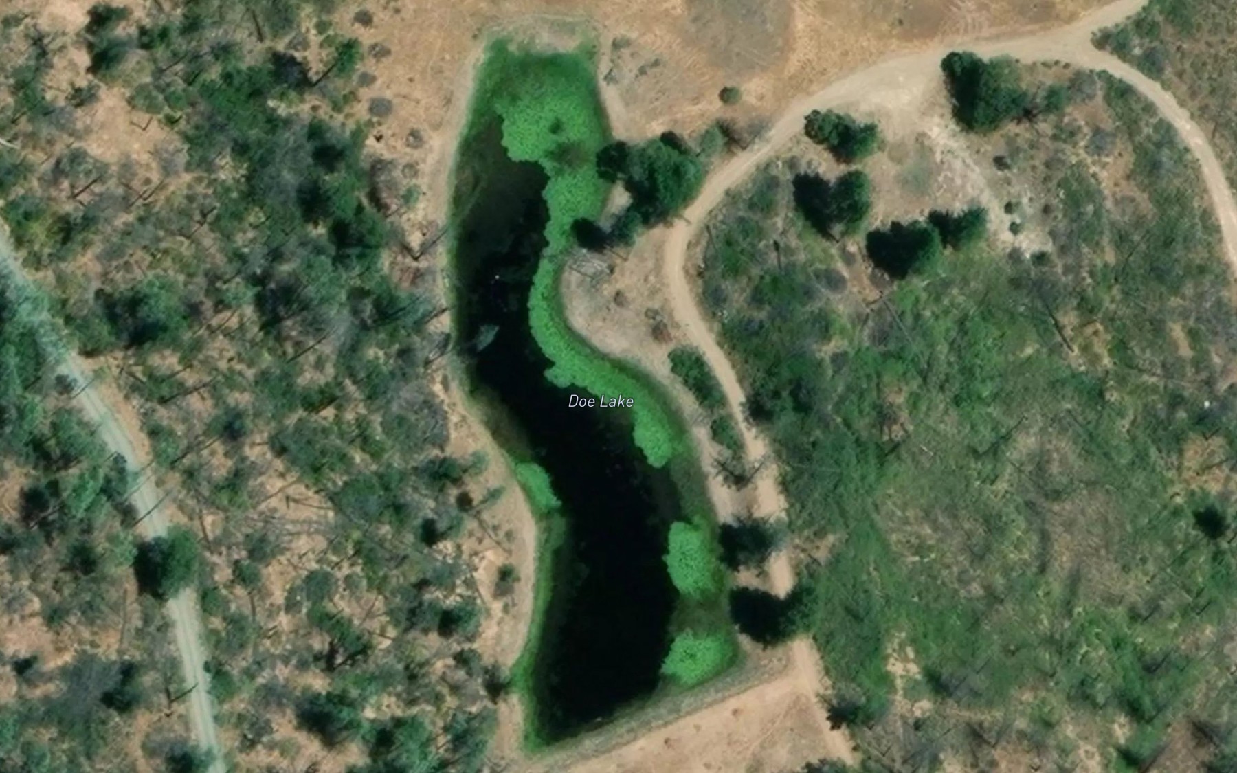 Satellite map of the Doe Lake