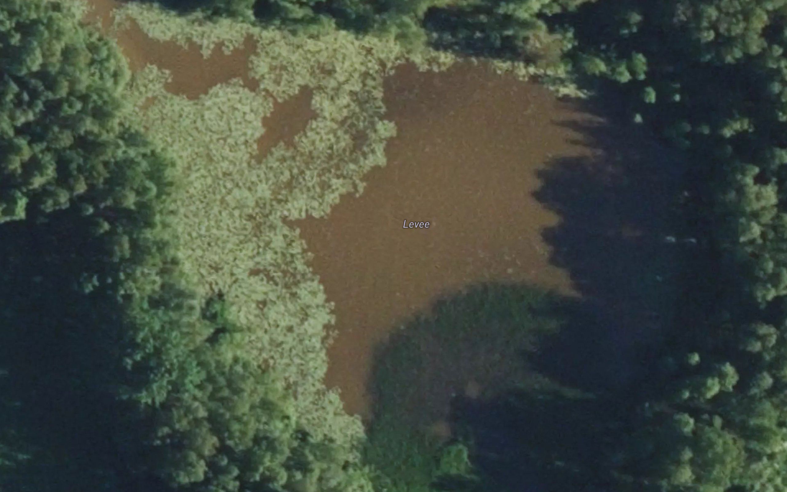 Levee