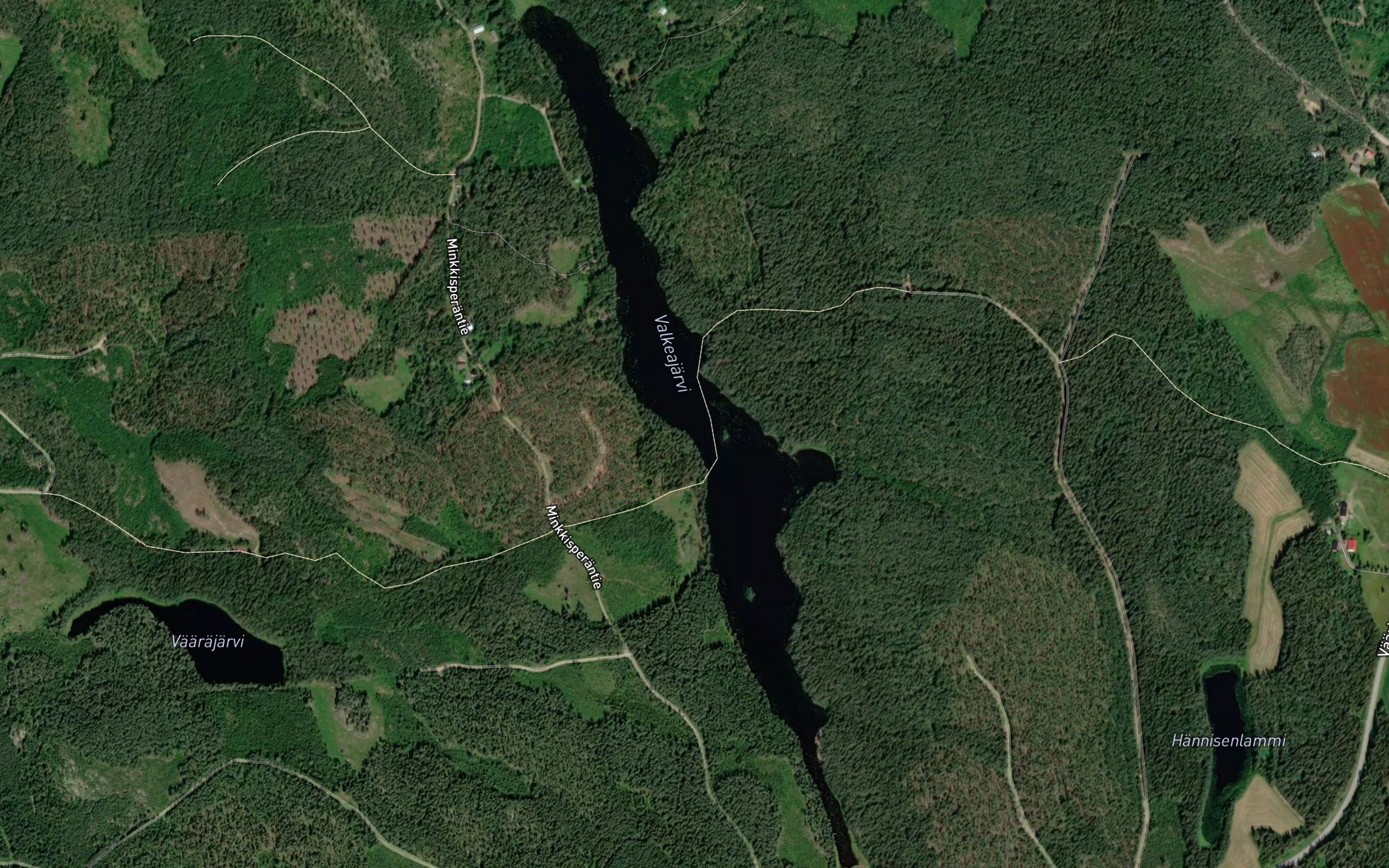 Levealahti