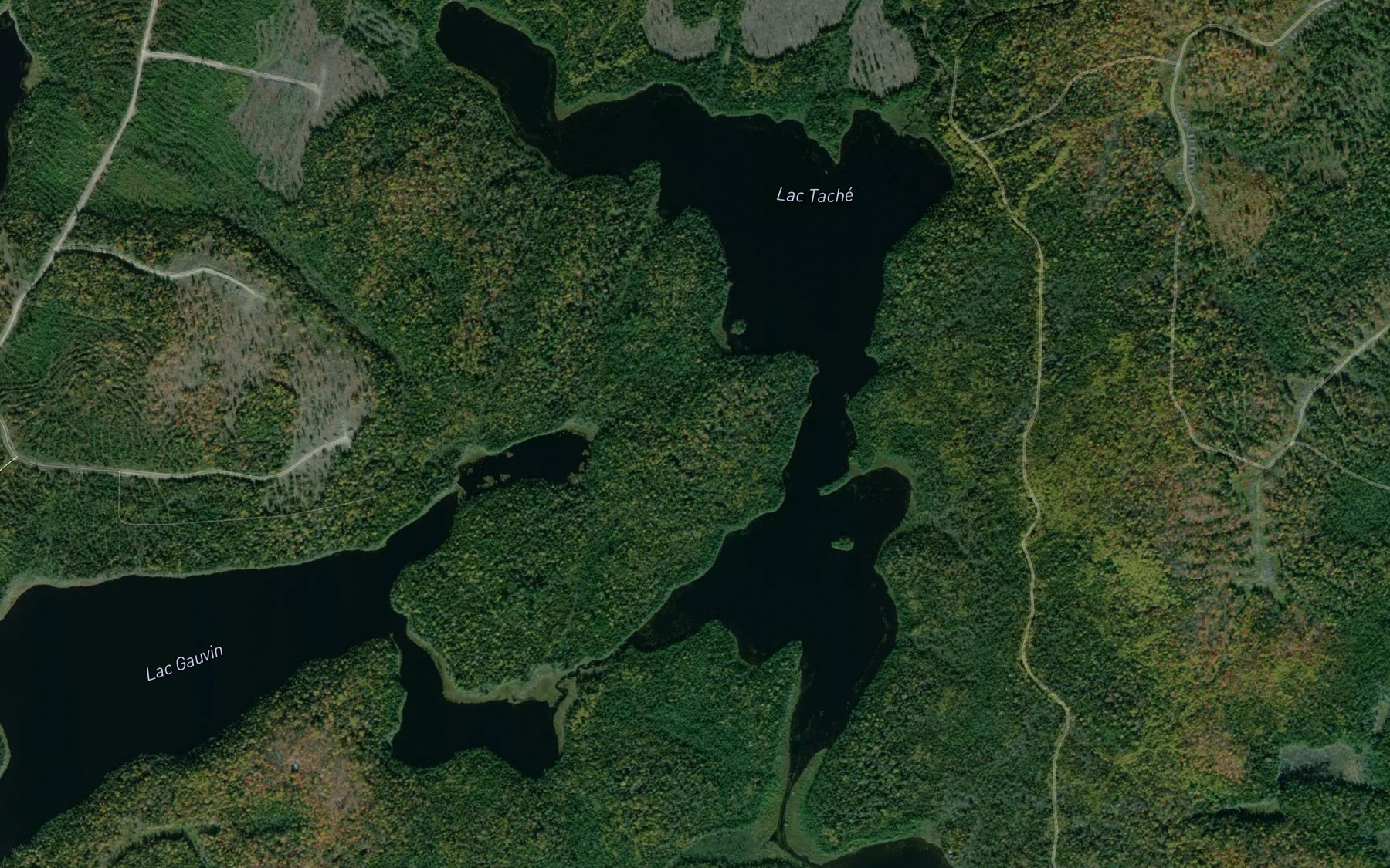 Satellite map of the Lac Tache