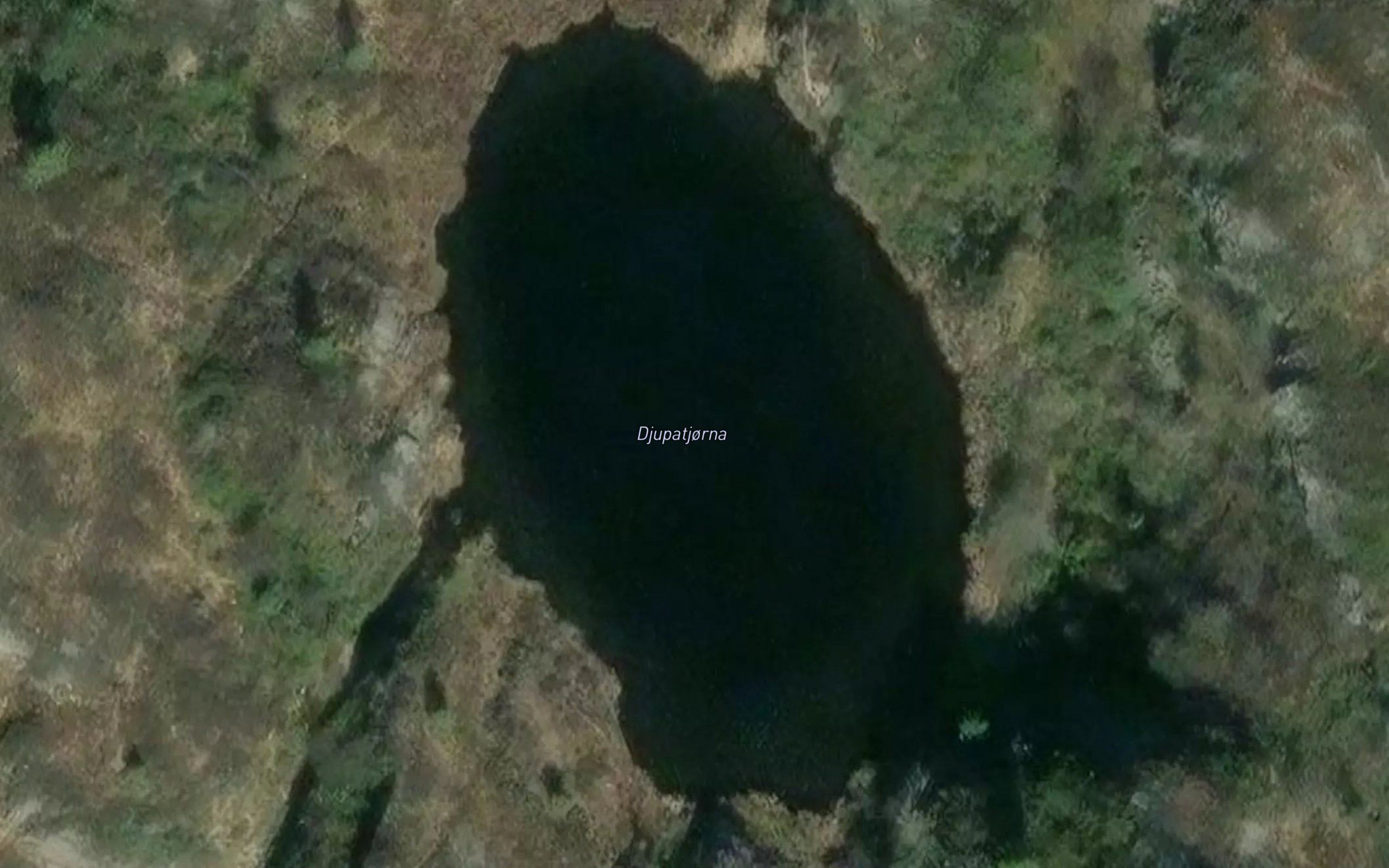 Djupetjorn