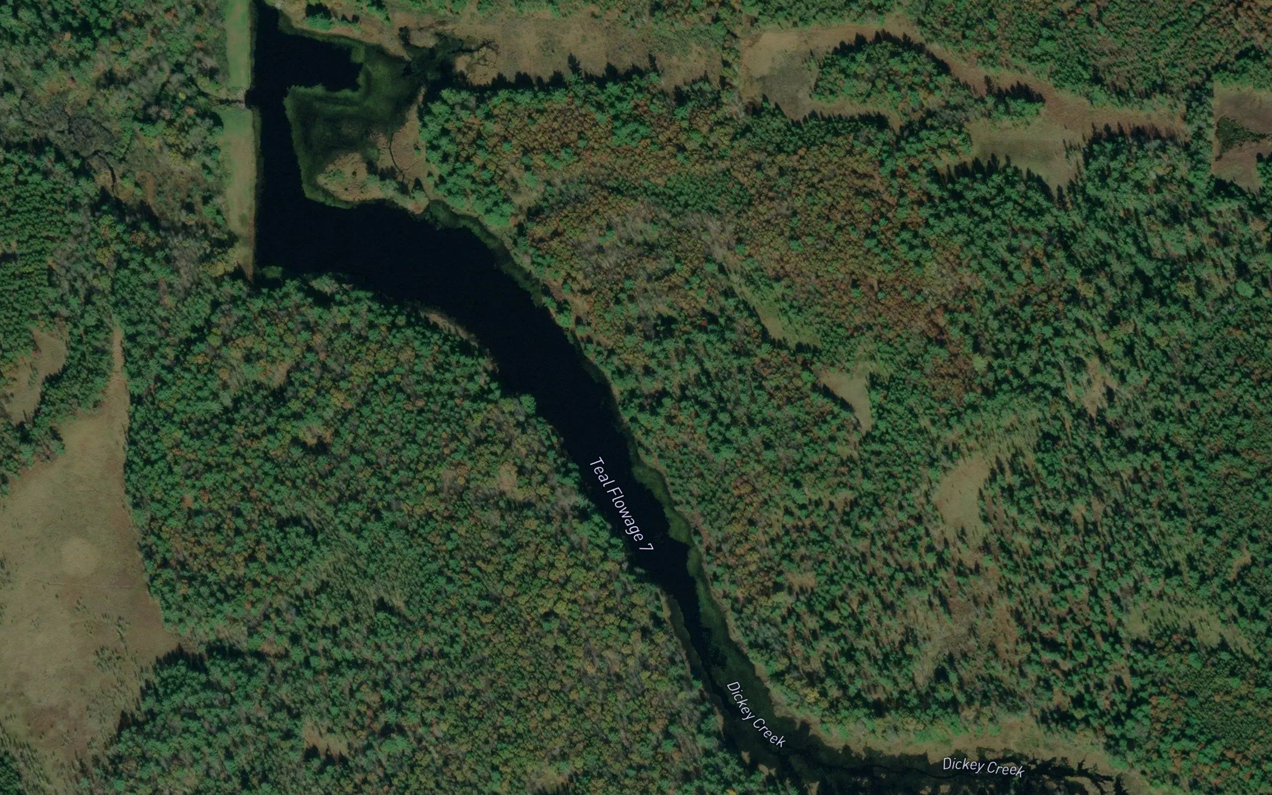 Teal Flowage 7