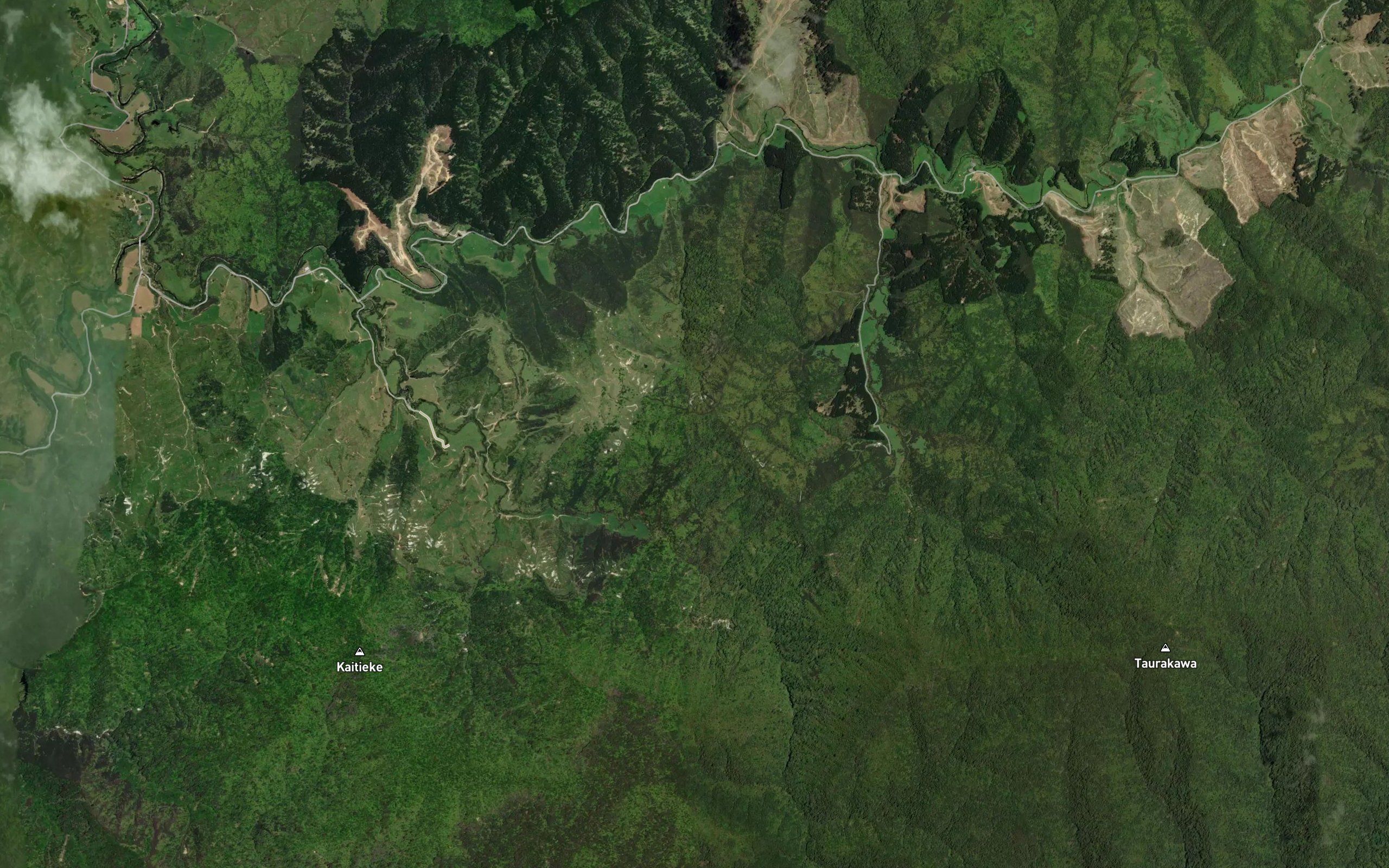 Waipapa Stream
