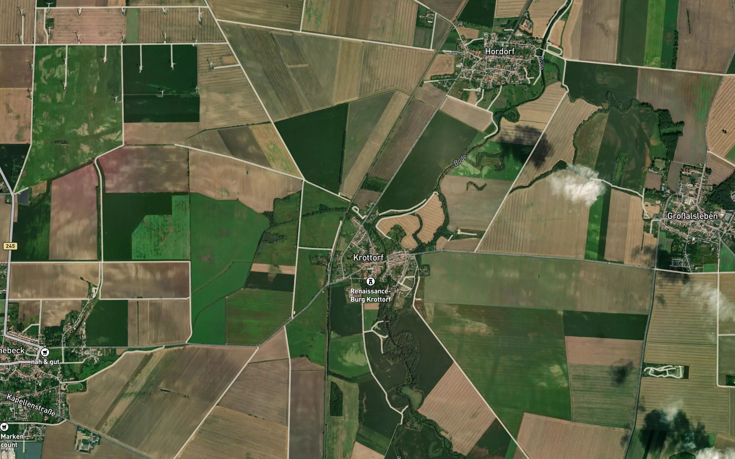 Limbach
