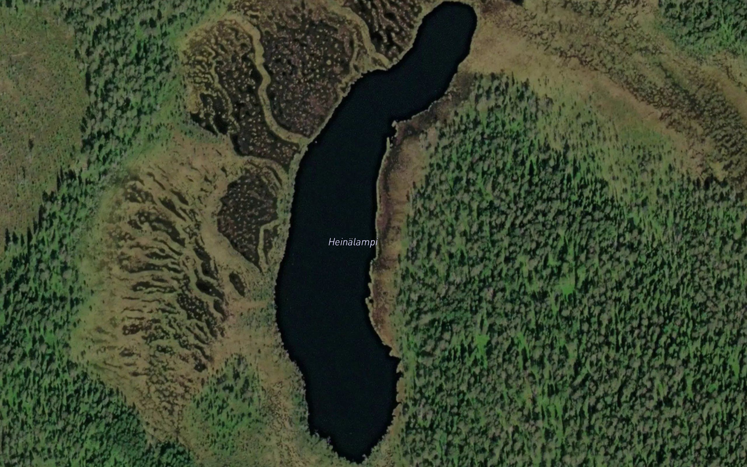 Heinalampi