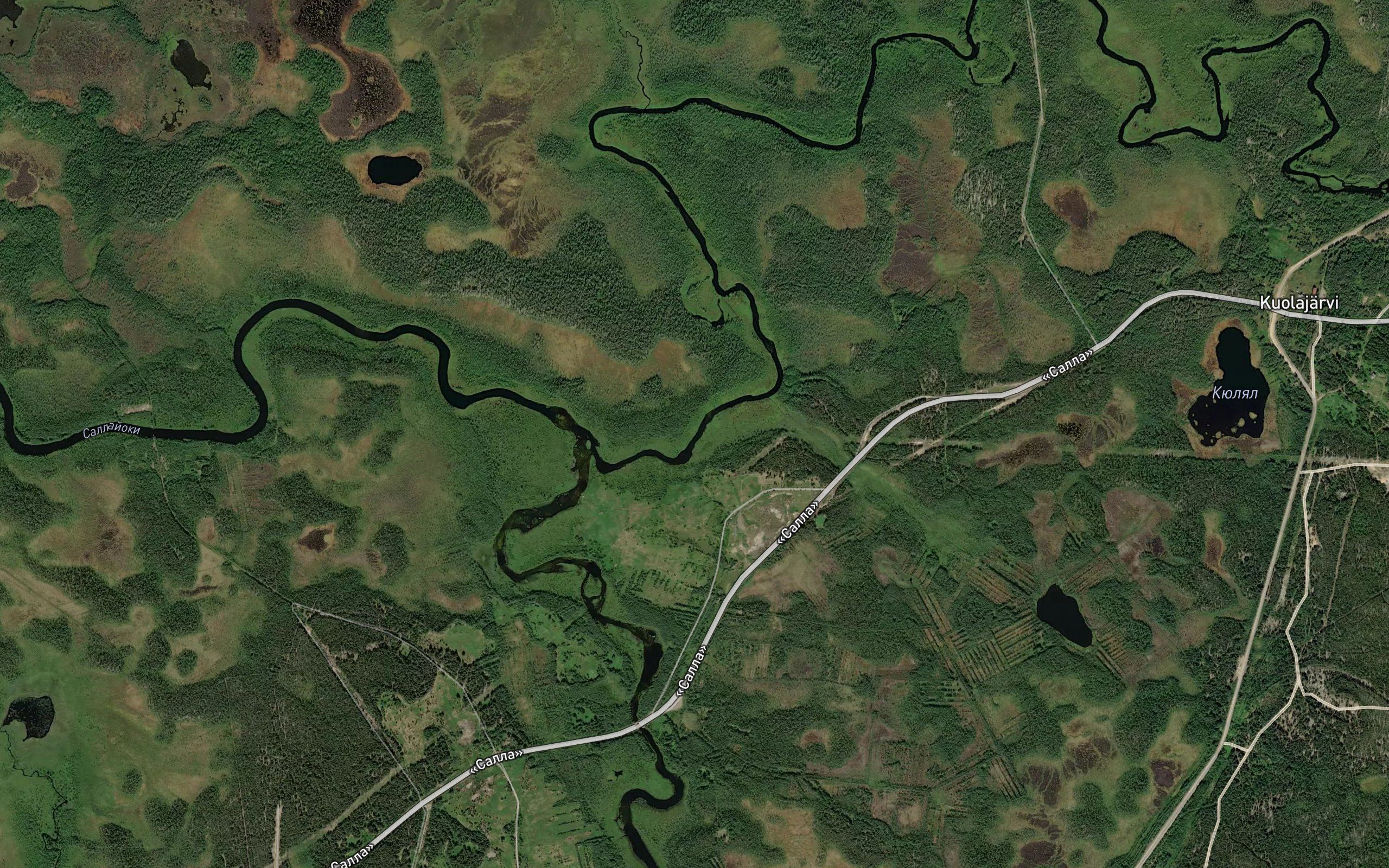 Kuolayoki