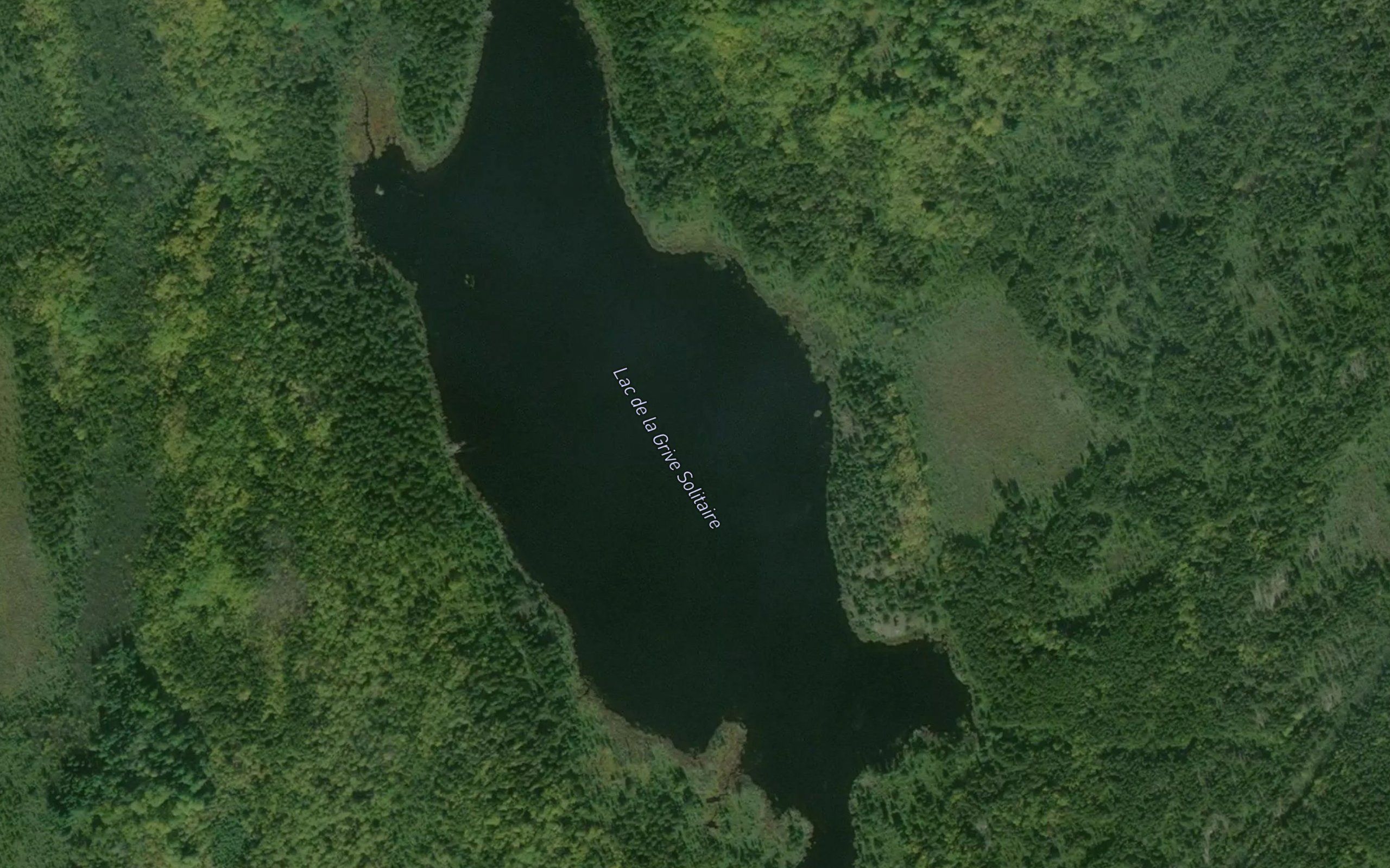 Lac de la Grive Solitaire