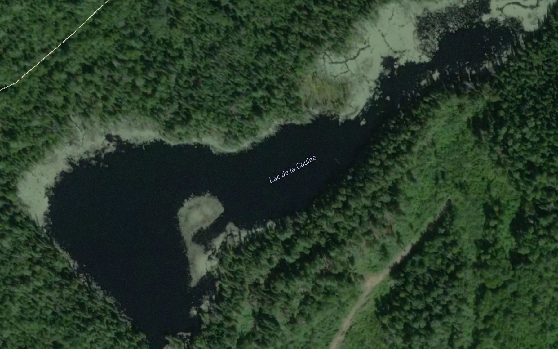 Satellite map of the Lac de la Coulee