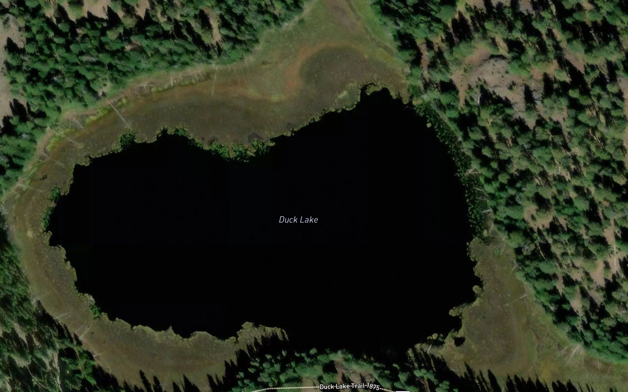 Duck Lake