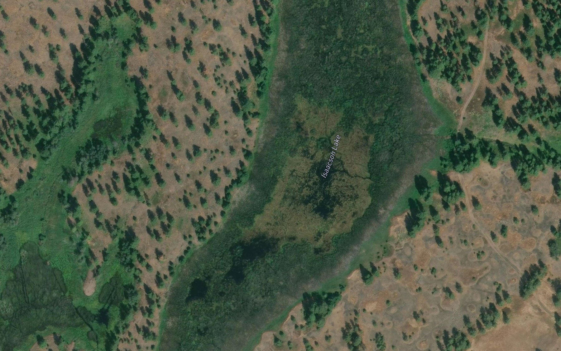 Satellite map of the Isaacson Lake