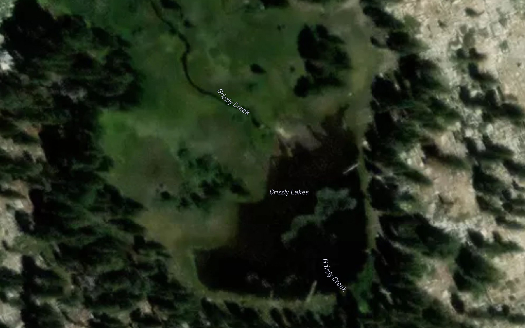 Satellite map of the Grizzly Lakes