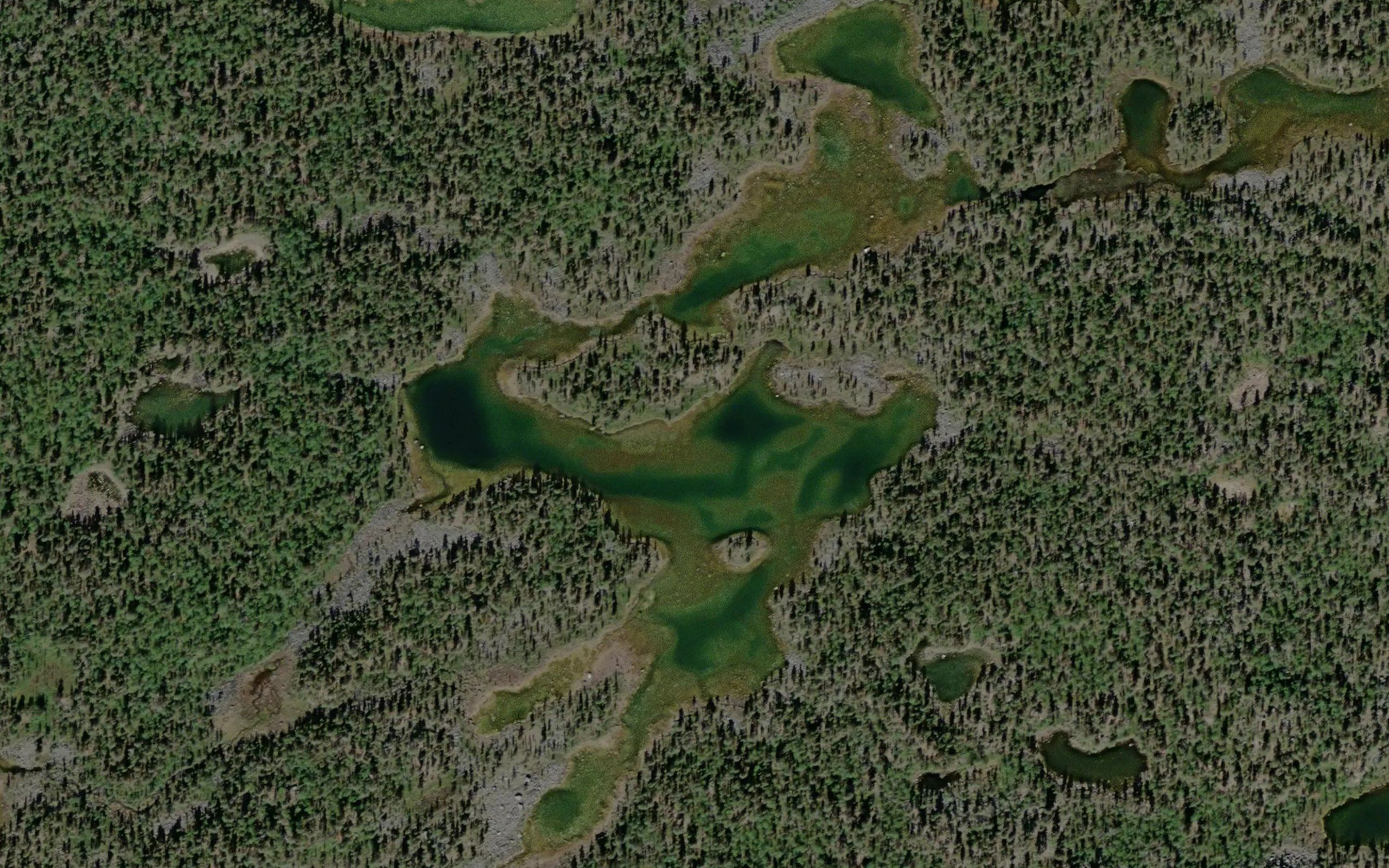 Mualkkijavri