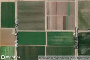 Ash Lateral Fortyone