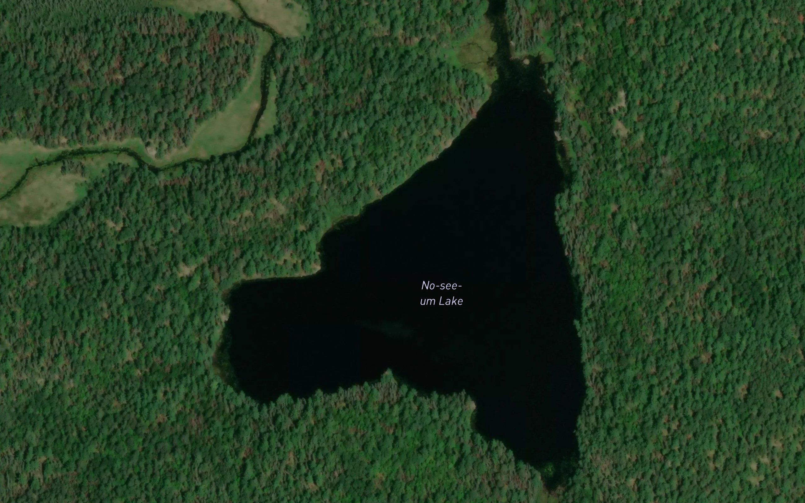No-see-um Lake