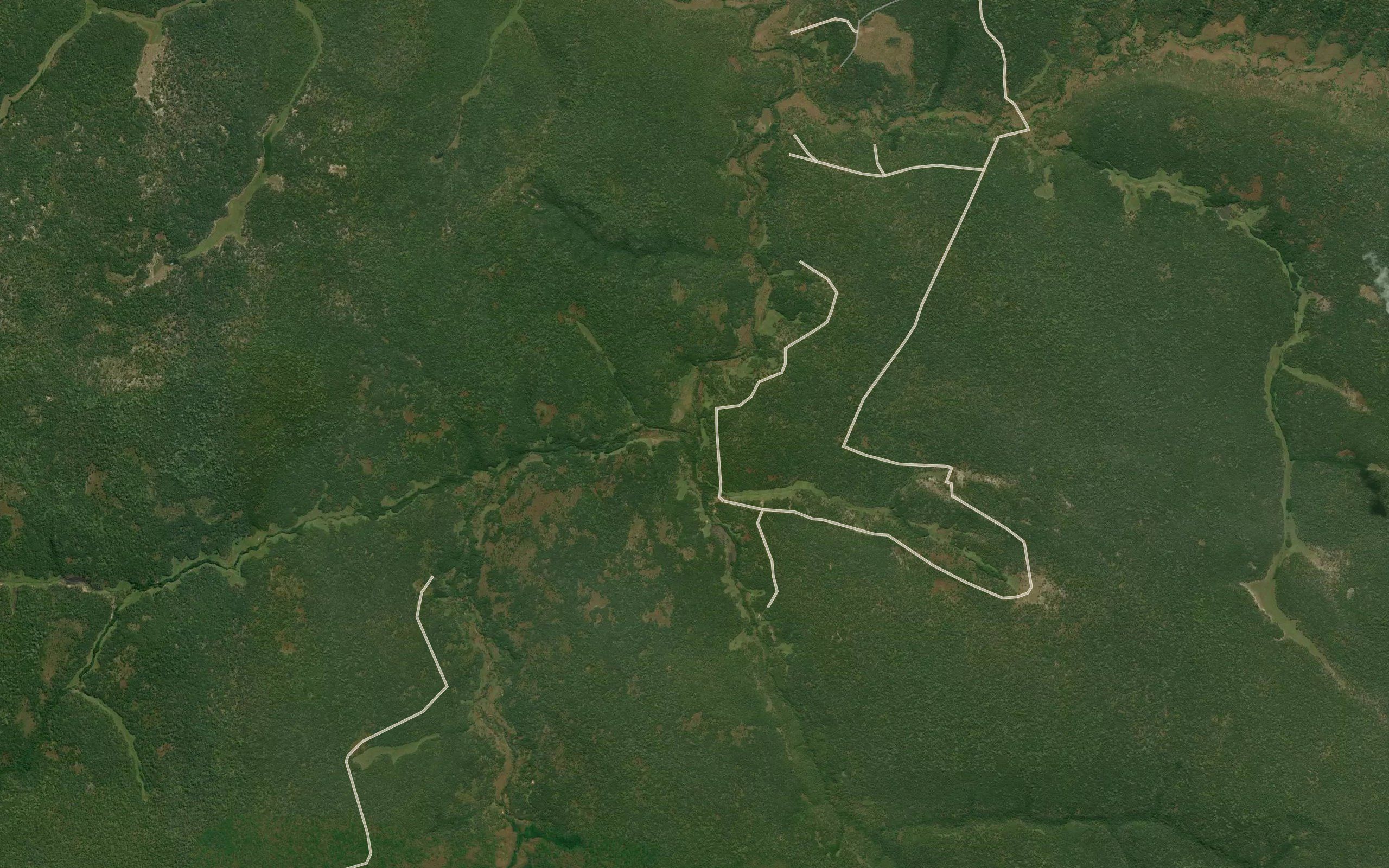 Ngamba