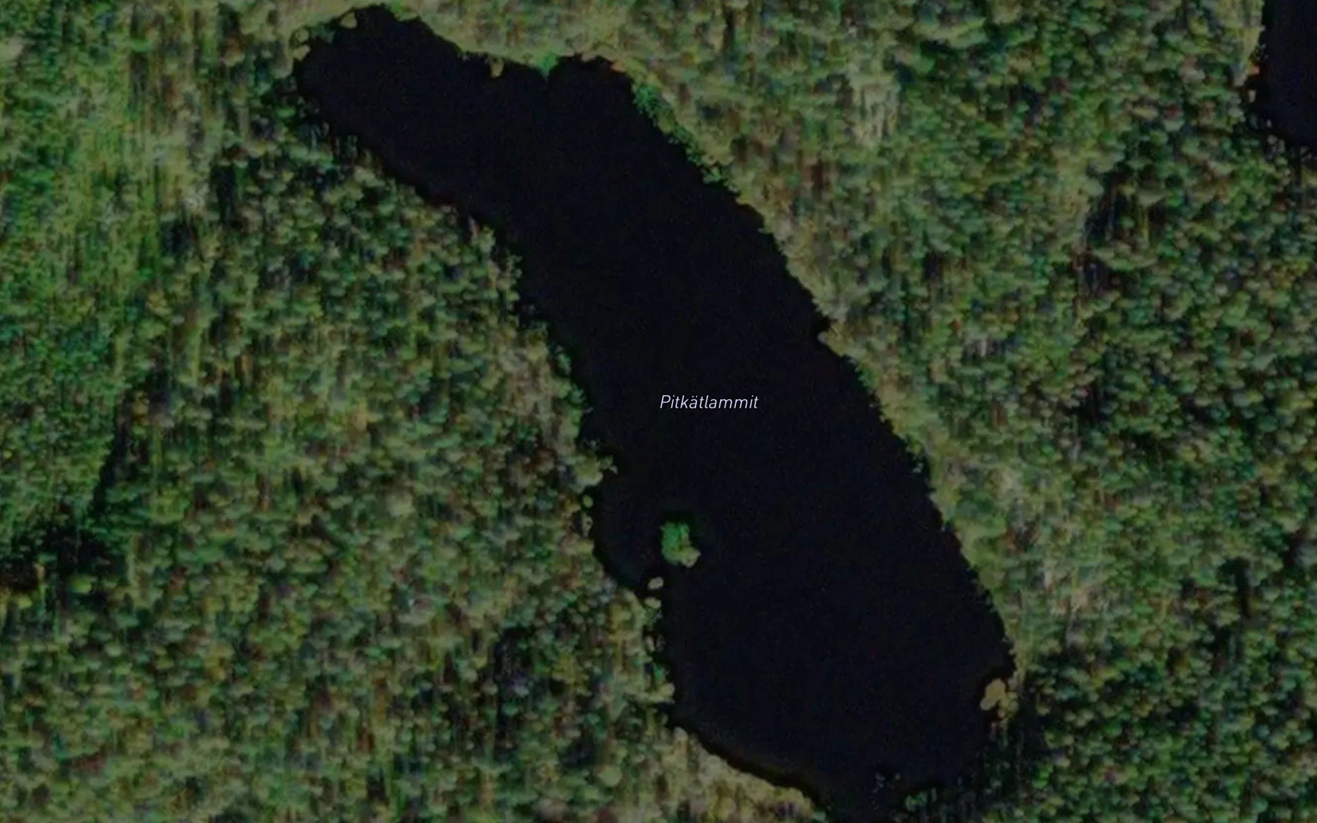 Pitkatlammit