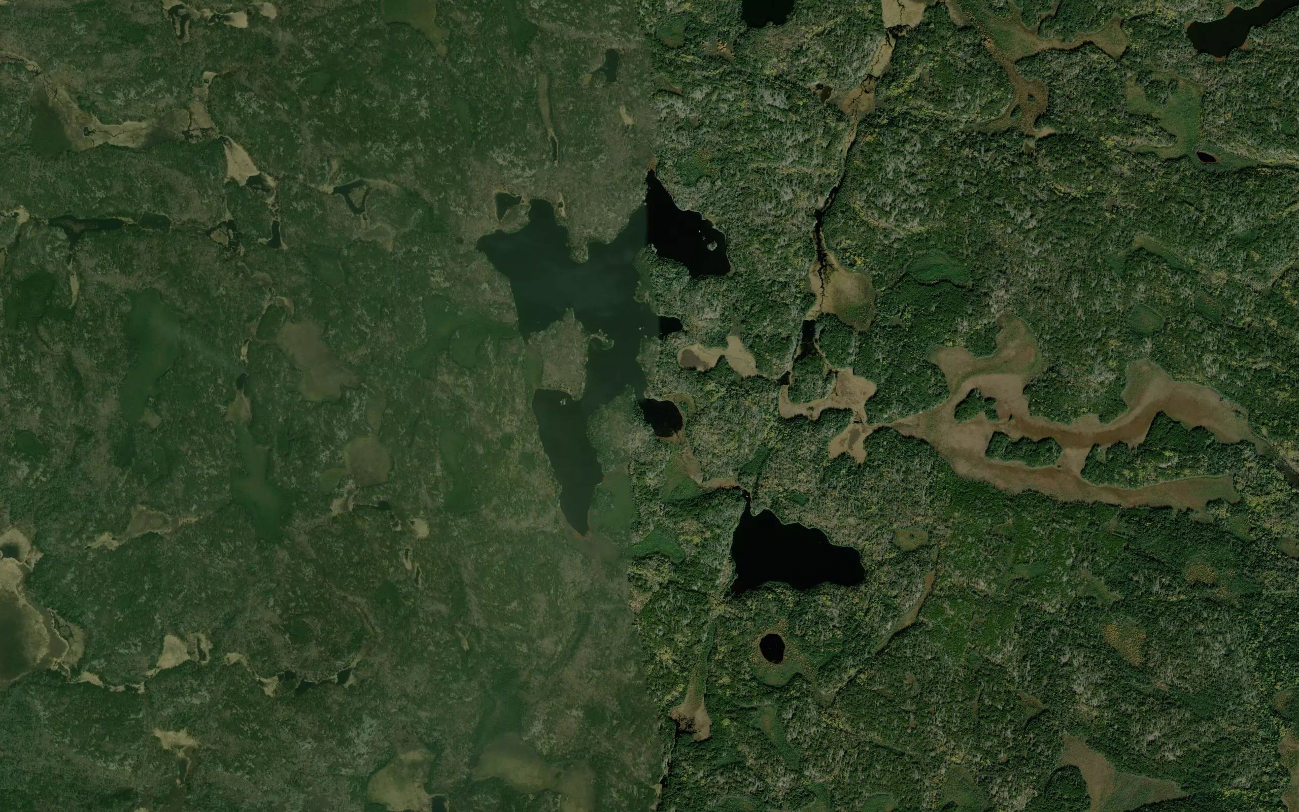 Lake of the Bays