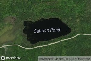 Salmon Pond