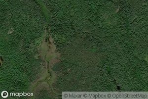 Gorse Creek