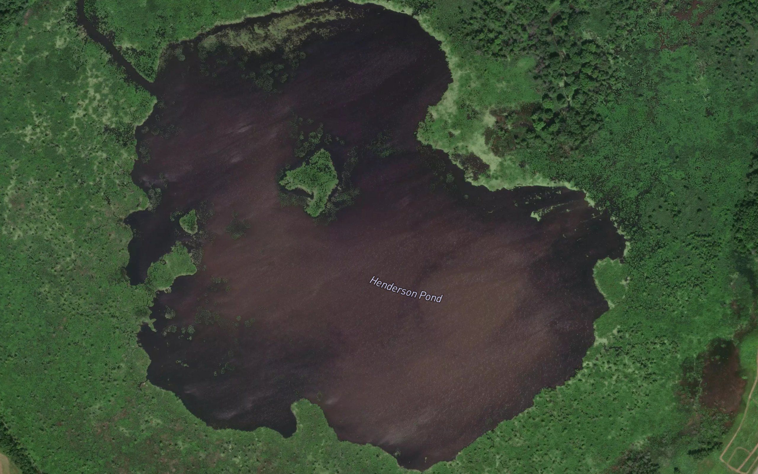 Henderson Pond