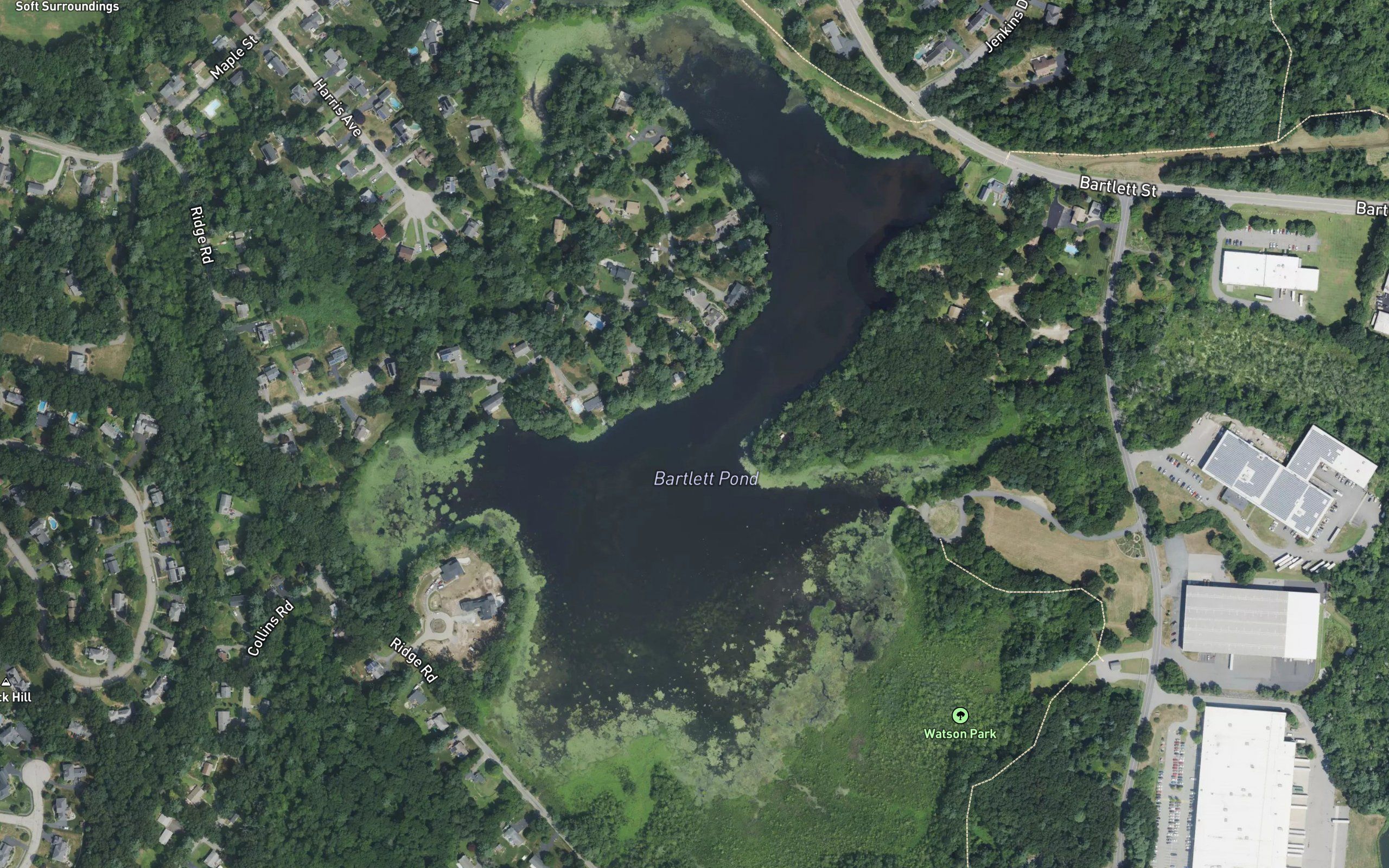 Bartlett Pond
