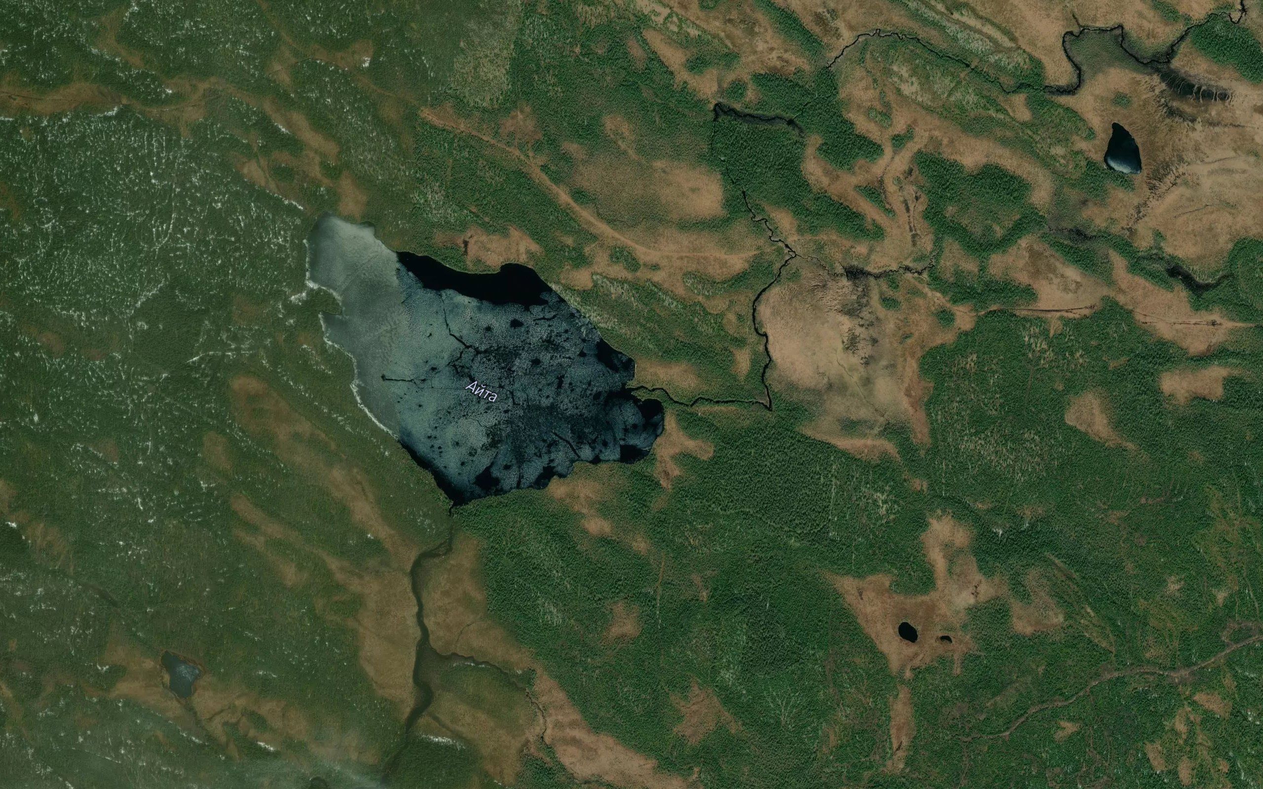 Korvindegi