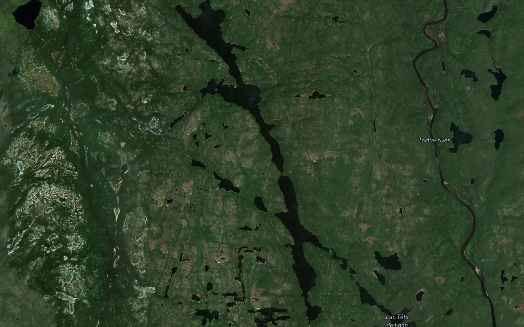 Satellite map of the Lac Delaunay