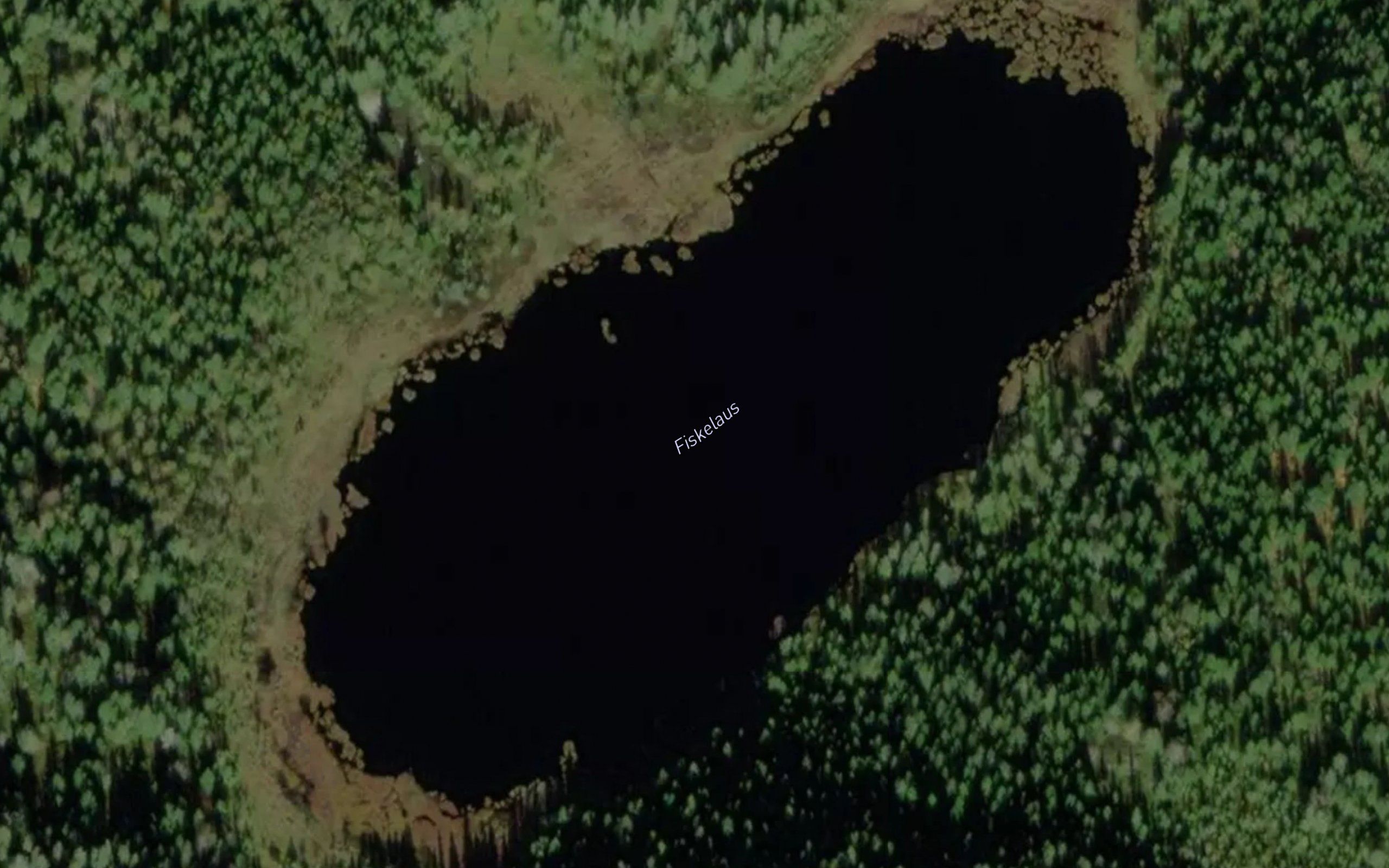 Fiskelaus