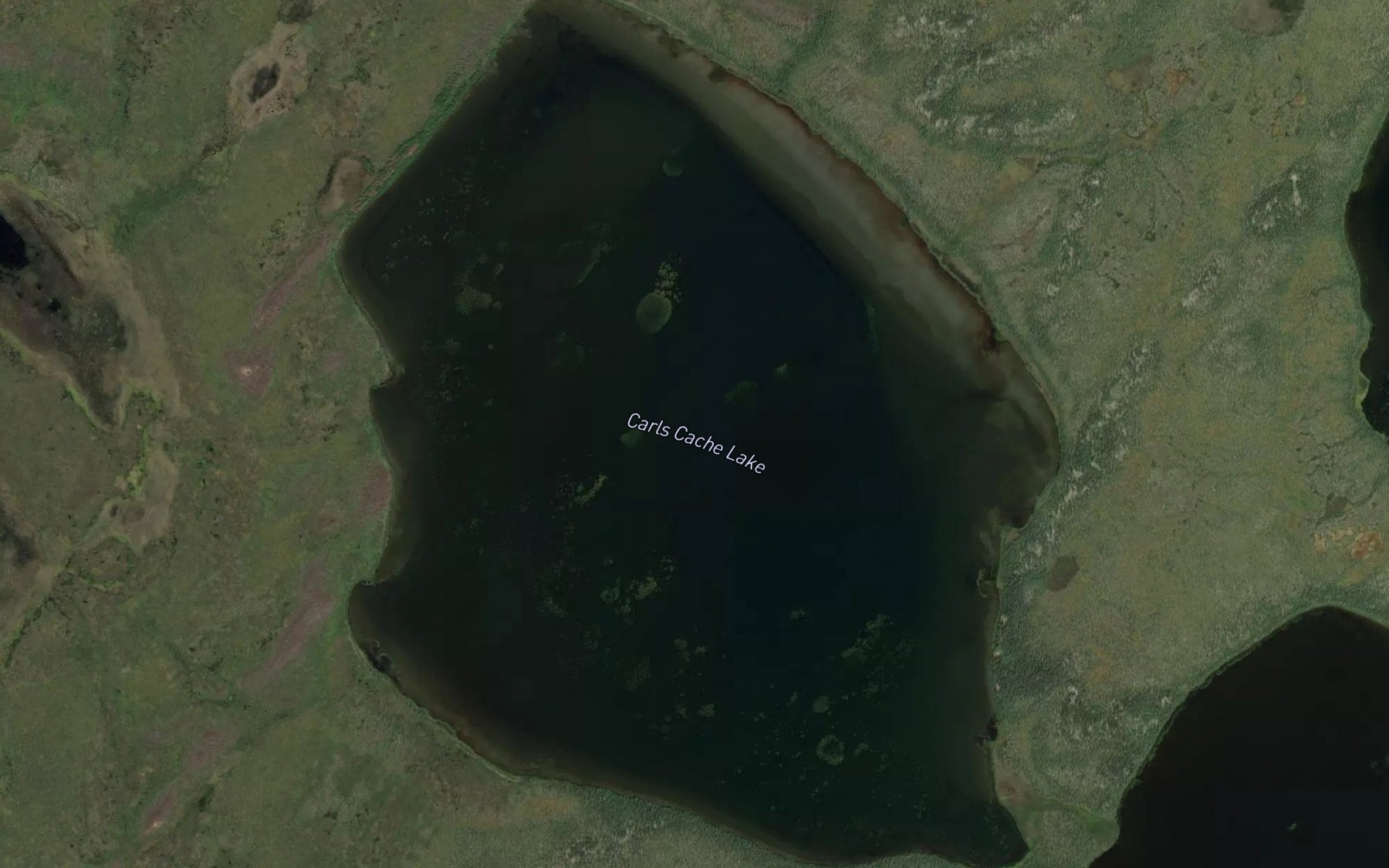 Satellite map of the Carls Cache Lake