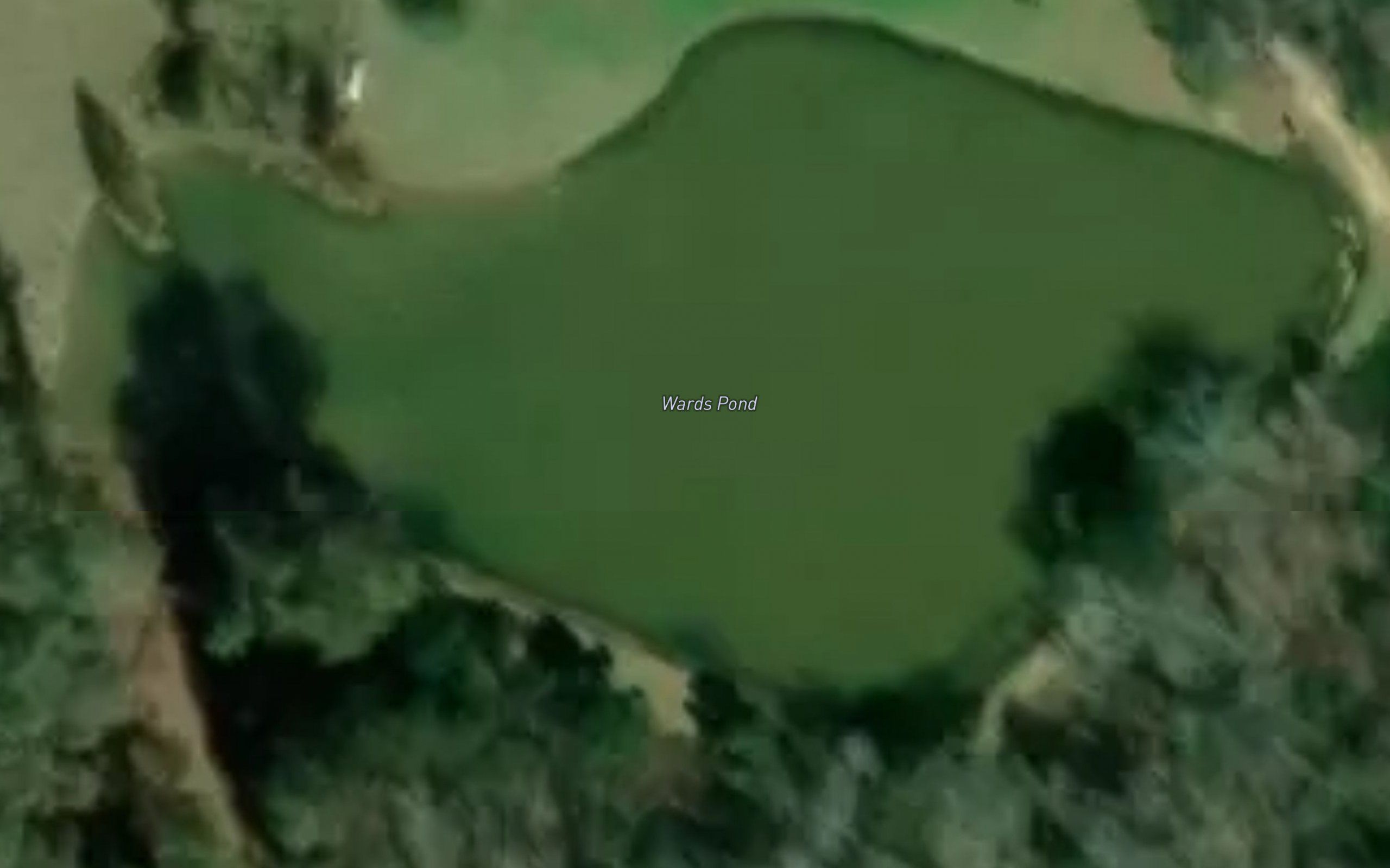 Wards Pond