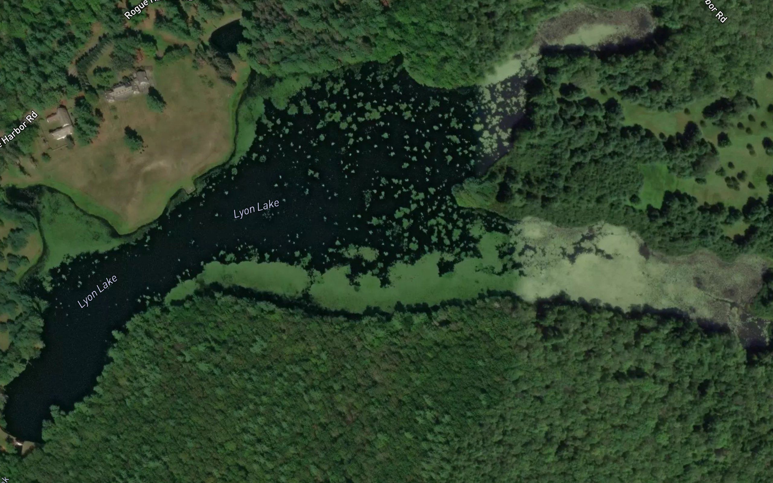 Lyon Lake