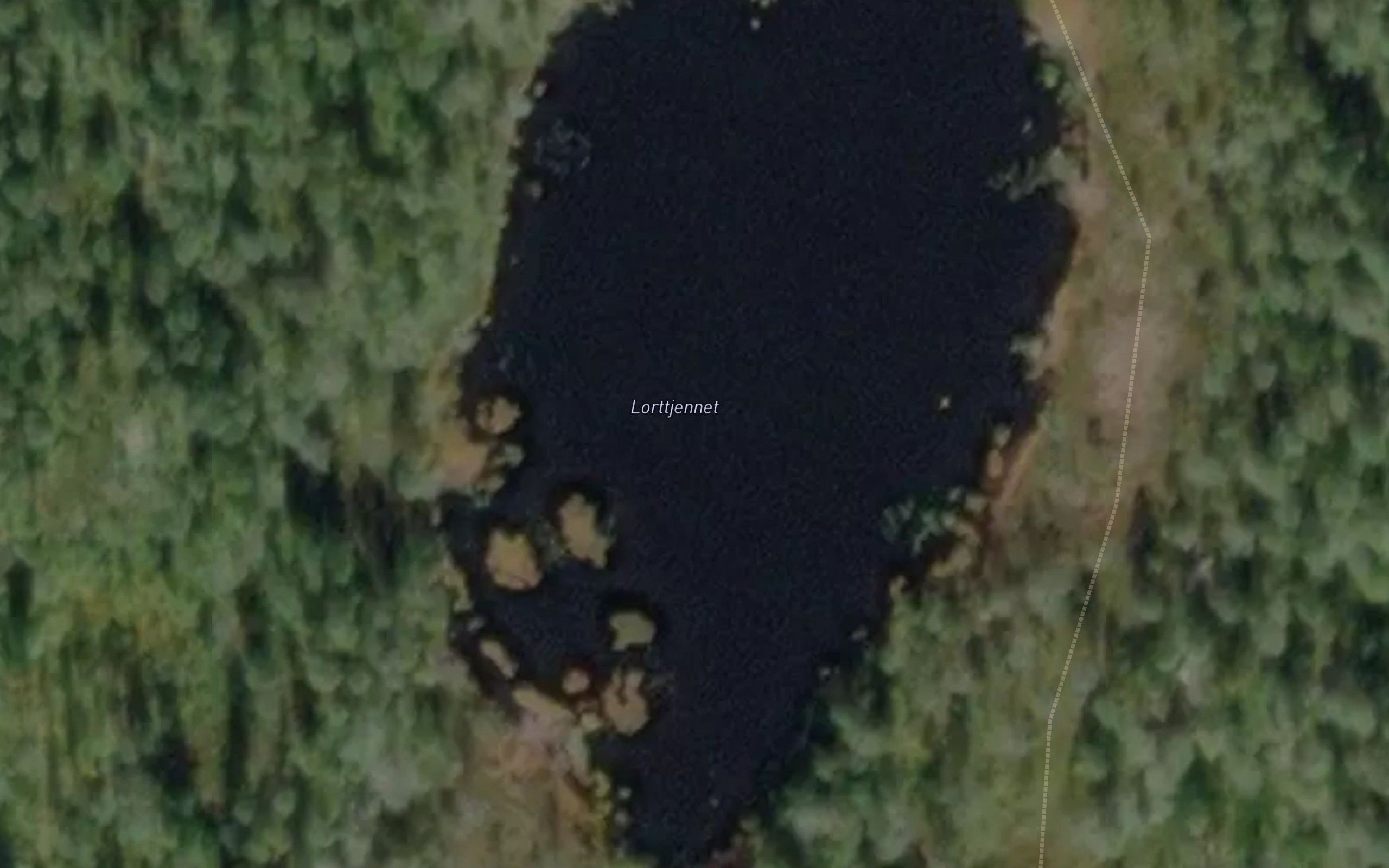 Lorttjennet