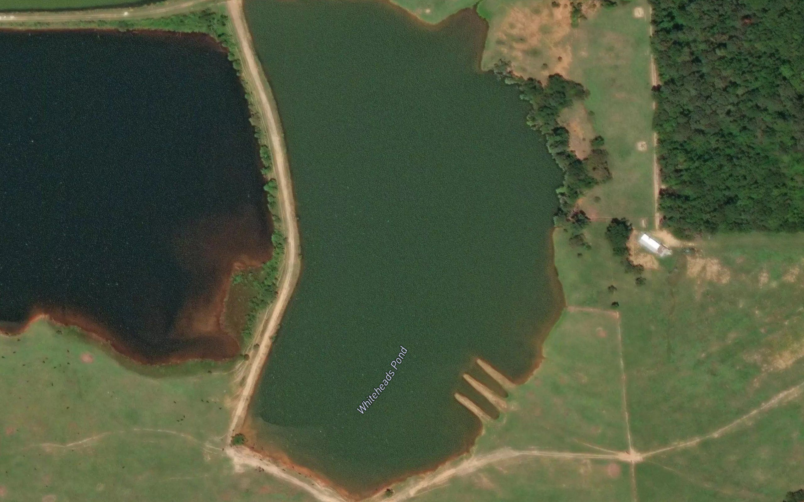 Whiteheads Pond