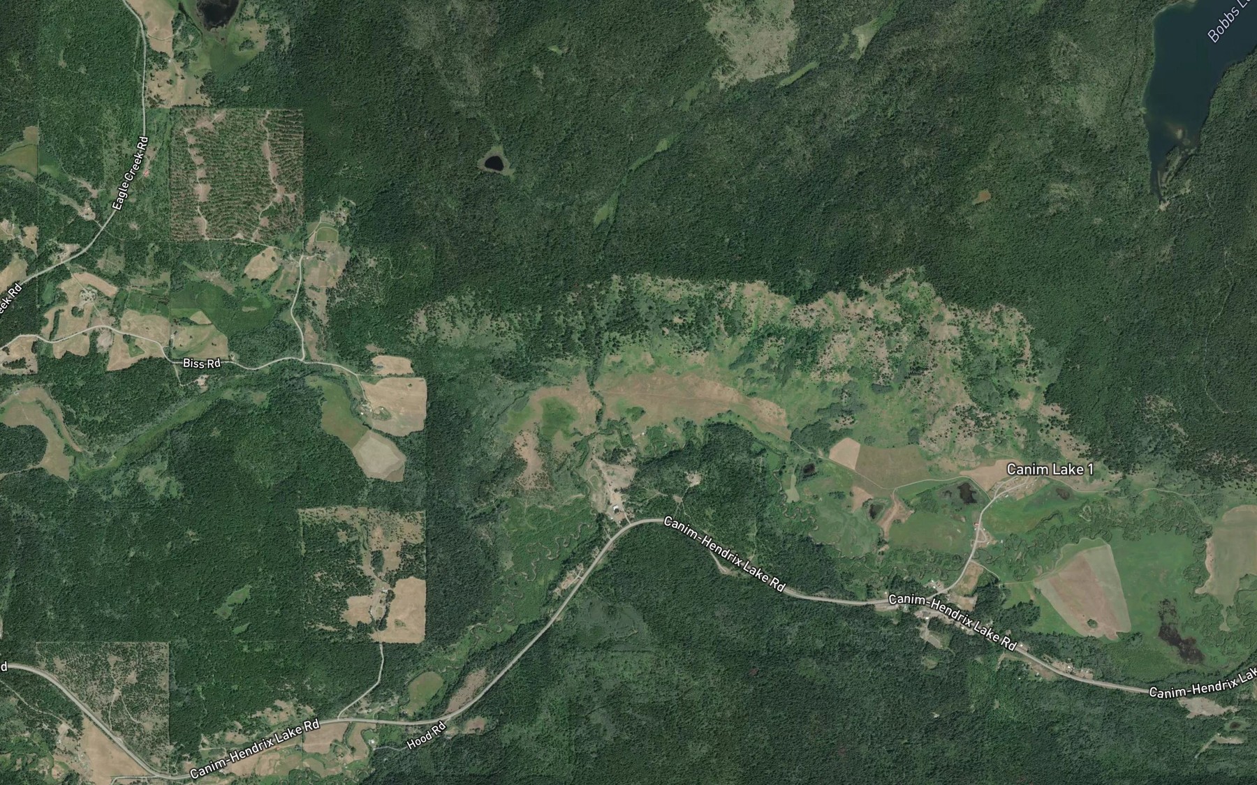 Satellite map of the Nettie Creek