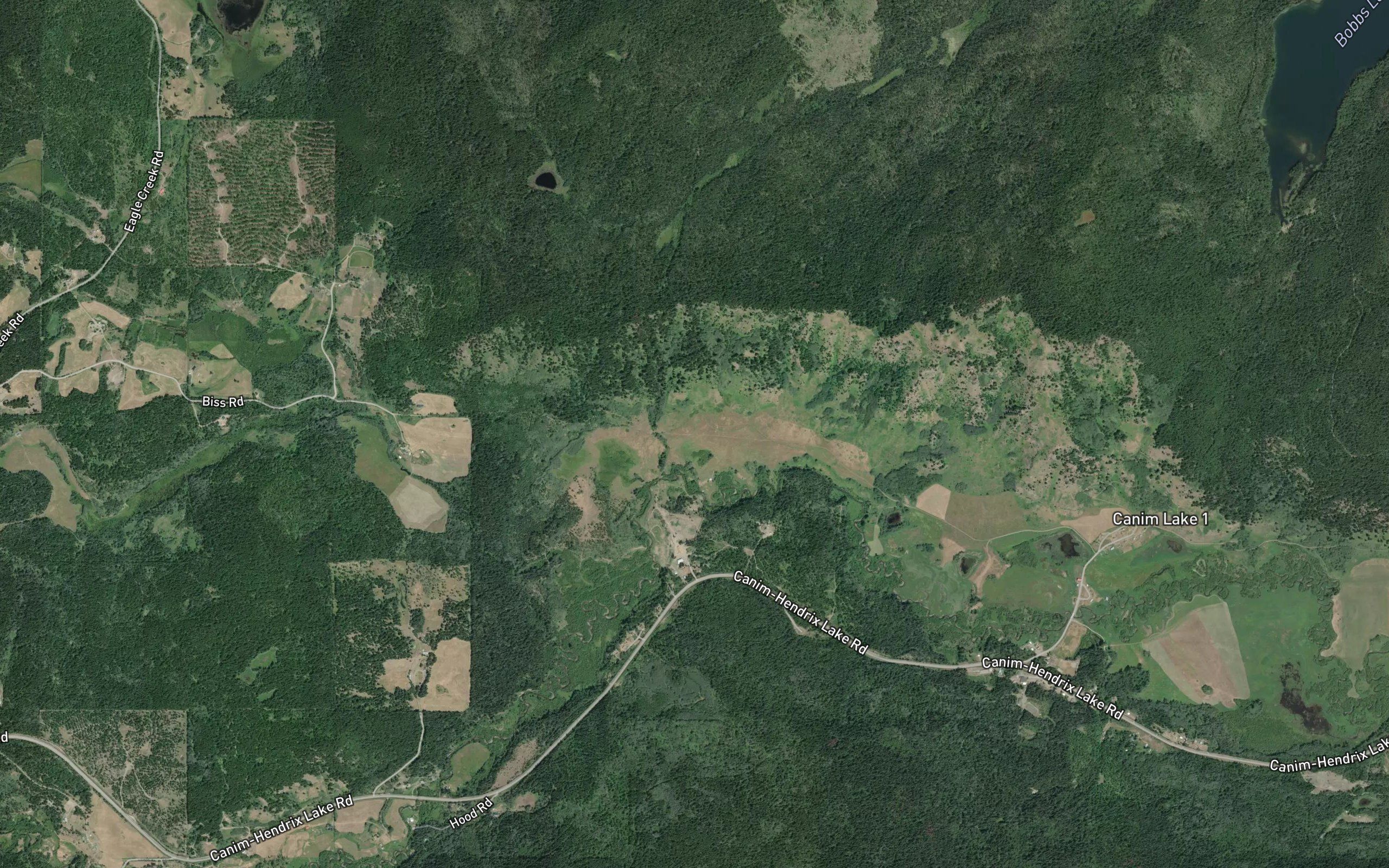 Nettie Creek