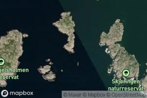 Sydostebukta
