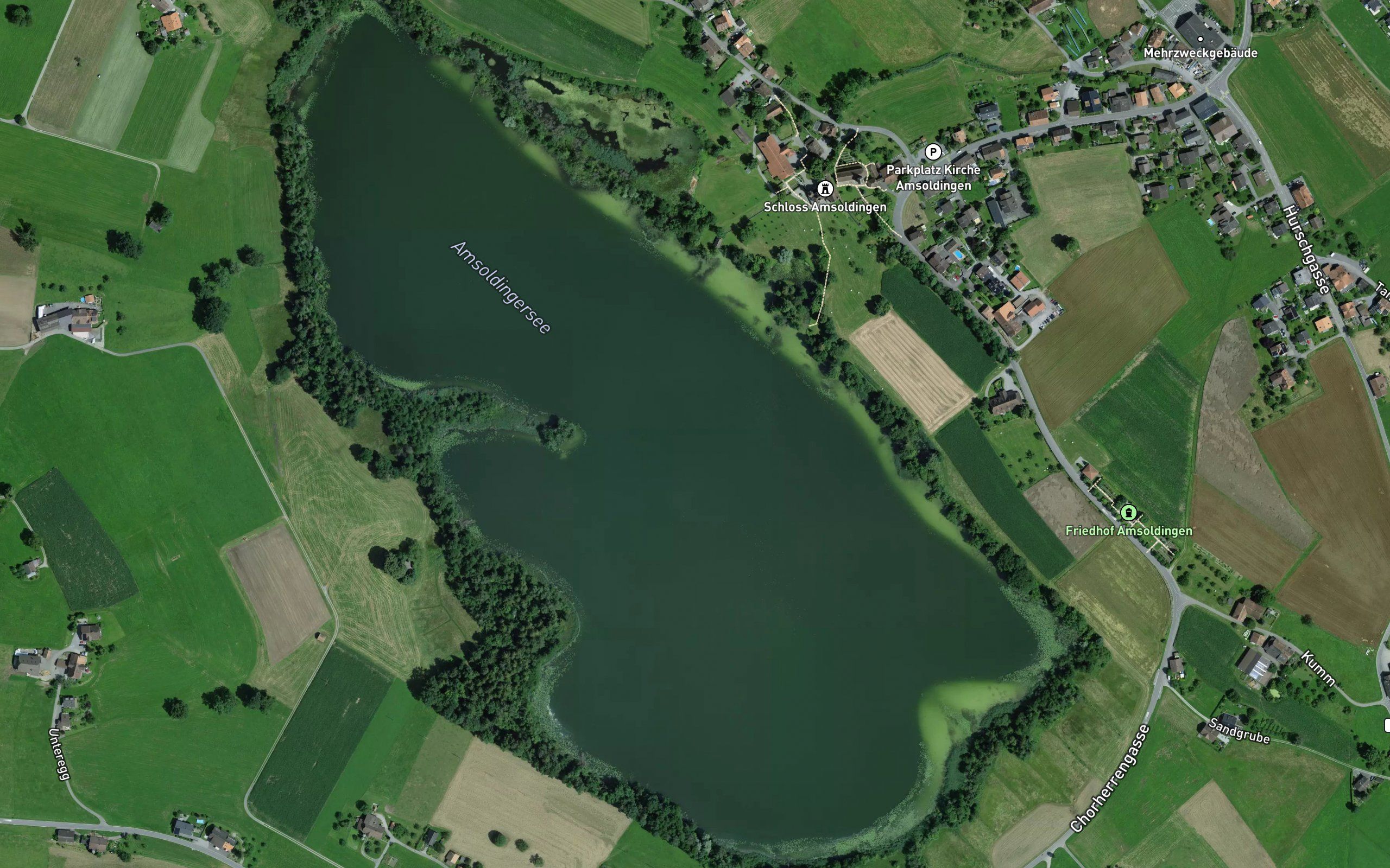 Amsoldingersee