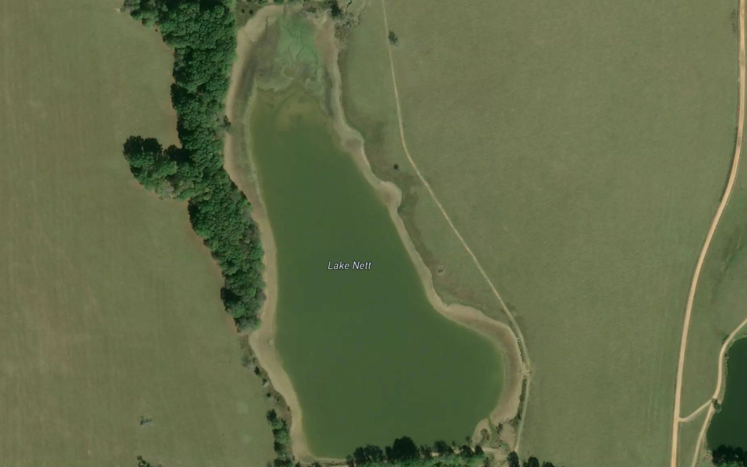 Lake Nett